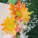 하이,포포 이미지