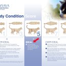 페이지동물병원 이미지