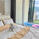 파레사애견풀빌라 이미지