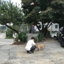 서프라이즈모아모아