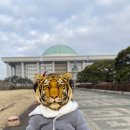 G7625 | 국회의사당가는법 둔치주차장 무료셔틀버스 로보셔틀 TAP