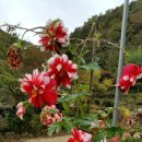 지리산예술촌