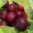 천보수산 | 속초 1일차 ( ᵒ̴̶̷̤◦ᵒ̴̶̷̤ ) | 속초수산시장,속초맛집