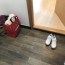 GS25 남애항점 네이버블로그