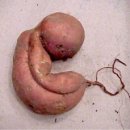 홍산중학교 이미지