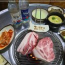 편백나무향 - 순천시 죽평길 4 | 편백나무향