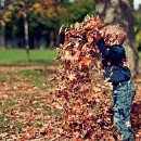 행복한미소공인중개사사무소 이미지