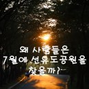 정화원 | 7월에 선유도공원을 사람들이 찾는 이유 | 서울에서 가장 특별한 산책길