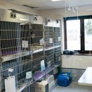 뉴욕동물병원 이미지