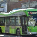 완월동254 이미지