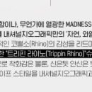 라이노어페럴 네이버블로그