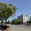 다모아한식뷔페 - 강남구 | 다모아한식뷔페