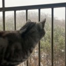 산동튼튼정형외과의원 이미지