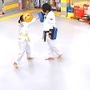 태권사랑 태권도장 이미지