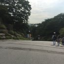 애플맥시스 이미지