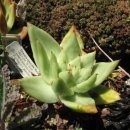 동운가든 이미지