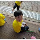 태안초등학교 이미지