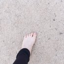 연조공원 이미지