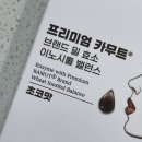 포레스트디바