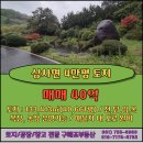 구성사슴농장 이미지