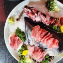 내포참치 이미지