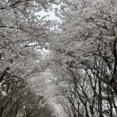 홍성 오서산공영주차장 이미지