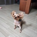 20일만에 돌아온 음식뿐인 사진으로 보는 일상 그리고 새 폰