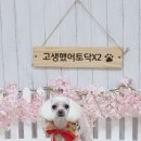 이쁘니 이발소 이미지