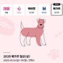 (주)메가덴탈 | 2025년 5월 일산펫페어 메가주 방문후기 -킨텍스2전시관