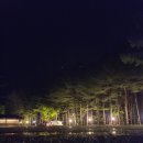 강림초 월현분교장 이미지