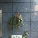 엔티엠 | 부산 해운대 엔티엠 NTM | 한우오마카세 | 실망한 내돈내산 솔직 후기