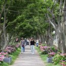 삼학이네민박 이미지