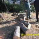 일출농장 이미지