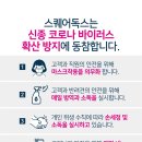 스퀘어독스 이미지
