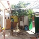 밀밭식당 이미지