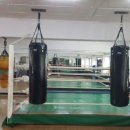 동남체육관 이미지