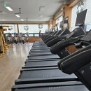 머슬앤 휘트니스클럽 네이버블로그