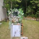 전주 야외 결혼식장, 아엘르 하우스웨딩 하객시점 후기