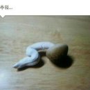 하오차이나 이미지