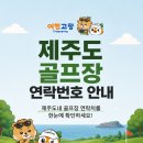 [제주골프 정보] 제주도 골프장 연락번호 한눈에 정리 이미지