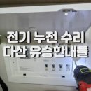 다산40통(유승한내들센트럴) | 다산 전기 누전 유승한내들센트럴 아파트 주방 콘센트 고장 차단기 트립 해결 사례