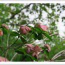 마당한정식 이미지