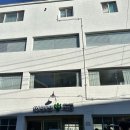 장수선인장 | 부산 영도 아이랑 가볼만한 곳 - 영도 카레, 함박스테이크 맛집 '선인장식당' 내돈내산 후기