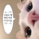 부띠끄오월 | 5월 일상블로그｜이보다 더 좋은 것은 없어