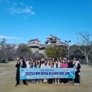 평택-평택-24 이미지