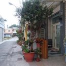 Lane B&B - 3313 | Lane B&B