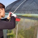 보수농장 이미지