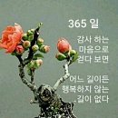 “다시 한번, 여행을 가겠습니다” 이미지