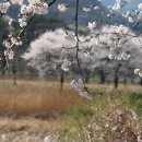 능암주유소 이미지