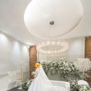 💐 본식스냅, 비비안웨딩 후기